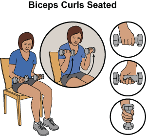 This is an image of a woman sitting up straight in a chair and holding small hand weights with her palms up. Her hands are resting on her thighs and her elbows are bent to 90 degrees. There is a callout showing her bend her elbows more bringing her weights toward her shoulders. There are also three small callouts showing different had positions to hold the weights, like with the palms down, palms up, or palms to the side.