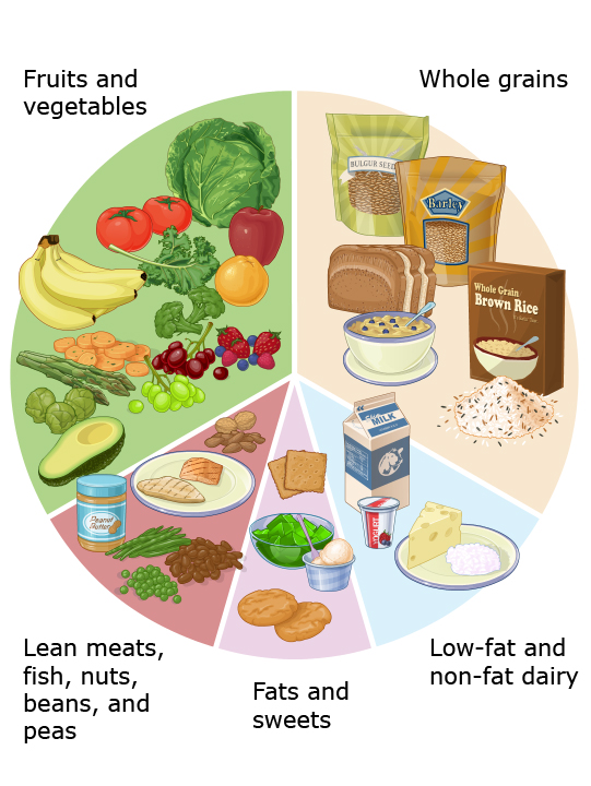 This is a figure titled DASH diet. Legend: DASH stands for "dietary approaches to stop hypertension." It is an eating plan that can help lower blood pressure. It can also help prevent high blood pressure (called "hypertension"). The DASH diet has lots of fruits and vegetables, whole grains, lean meats, healthy fats, and low-fat or fat-free dairy products. It is low in saturated fats, trans fats, cholesterol, added sugars, and sodium (salt).