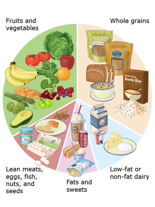 This is a figure titled Healthy diet. Legend: When eating a healthy diet, choose whole grains and whole-grain products, low-fat or non-fat dairy foods, lean meats, poultry, fish, nuts and seeds, and fruits and vegetables.