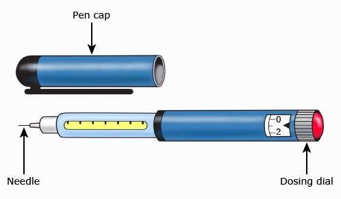 This is a figure titled Insulin pen. Legend: Insulin pens are about the size of regular writing pens. They have a pen cap. They come with prefilled insulin cartridges and have a dial at the top you use to set your dose. You replace the needle each time you use the pen.