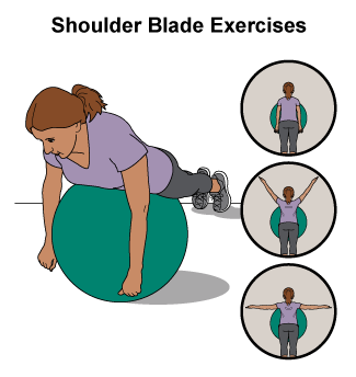 This is an image of a woman lying on her stomach on an exercise ball.  Her arms are extended tworads the floor and her legs are extended out straight.  There are three callouts showing different arm positions.  The first shows her straight arms at her sided, hands near her hips.  The second shows her arms extended straight up and to the sides so her elbows are near her ears, like a Y.  The last one shows her arms extended straight out to the sides at shoulder height, like a T.